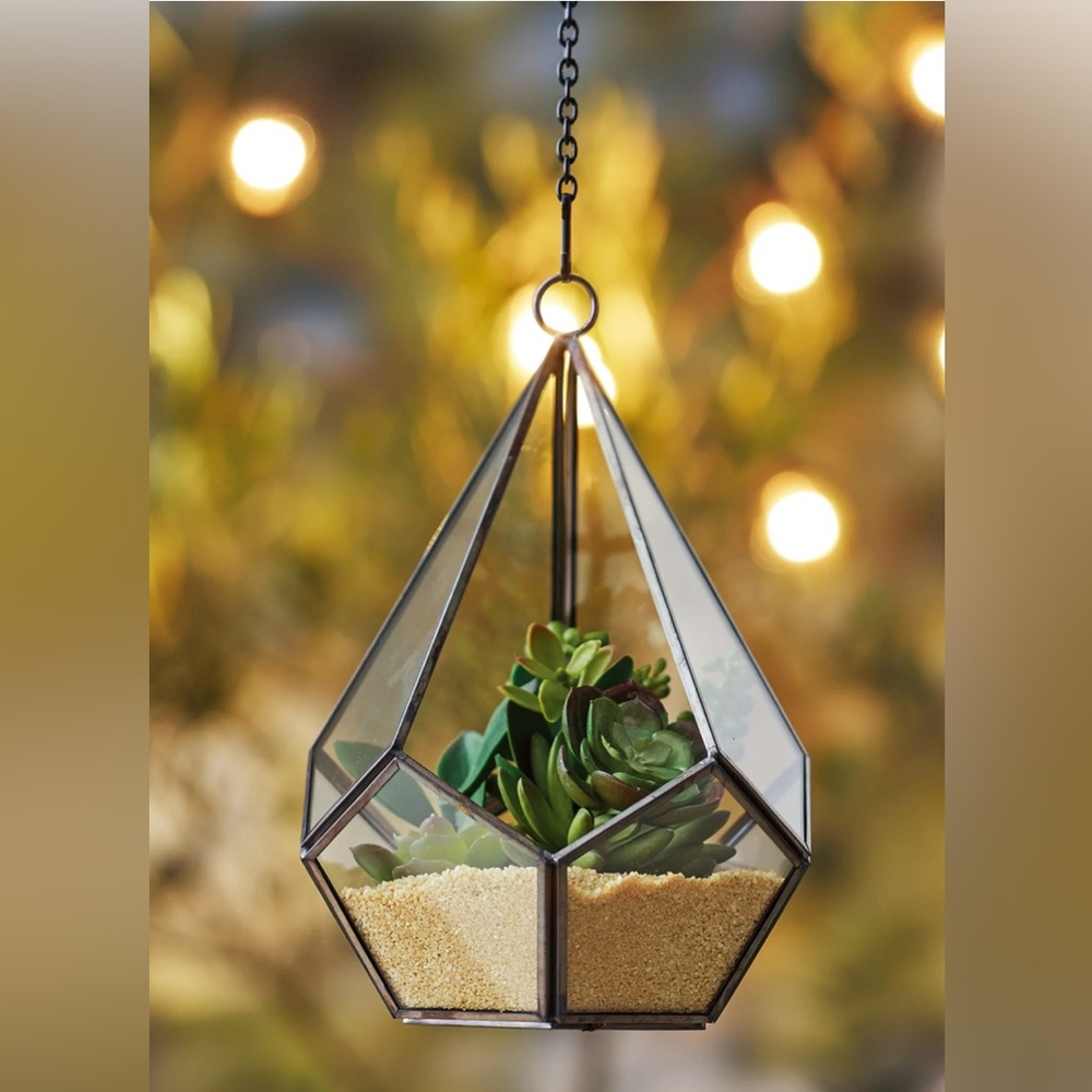 Better Homes And Gardens Hanging Geometric Glass Terrarium